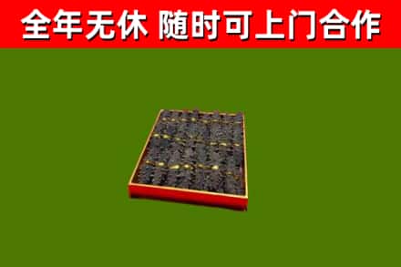 东莞烟酒回收海参.jpg